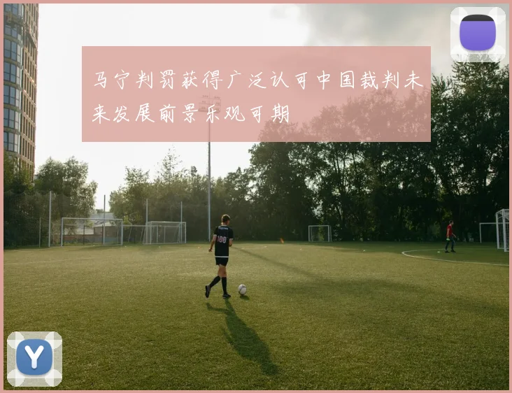 马宁判罚获得广泛认可中国裁判未来发展前景乐观可期