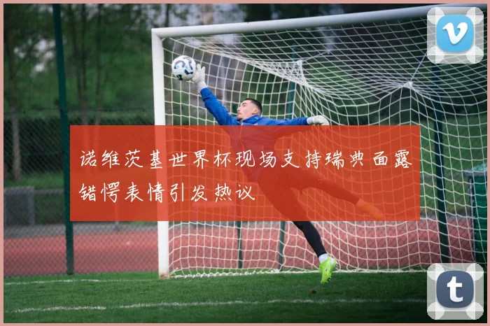 诺维茨基世界杯现场支持瑞典面露错愕表情引发热议