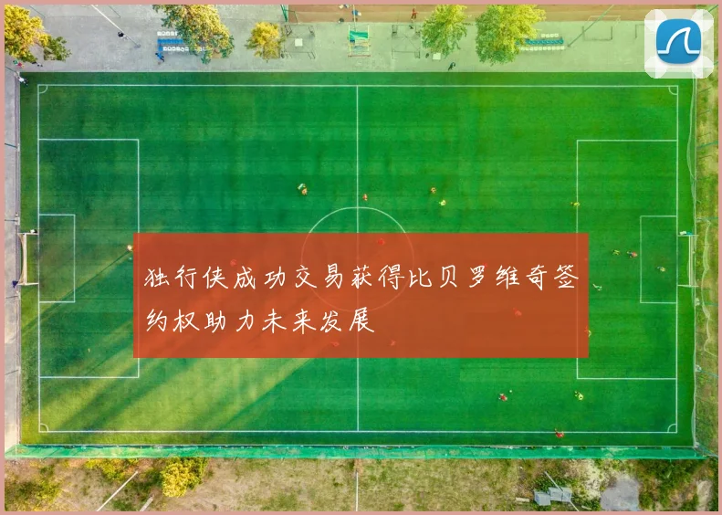 独行侠成功交易获得比贝罗维奇签约权助力未来发展